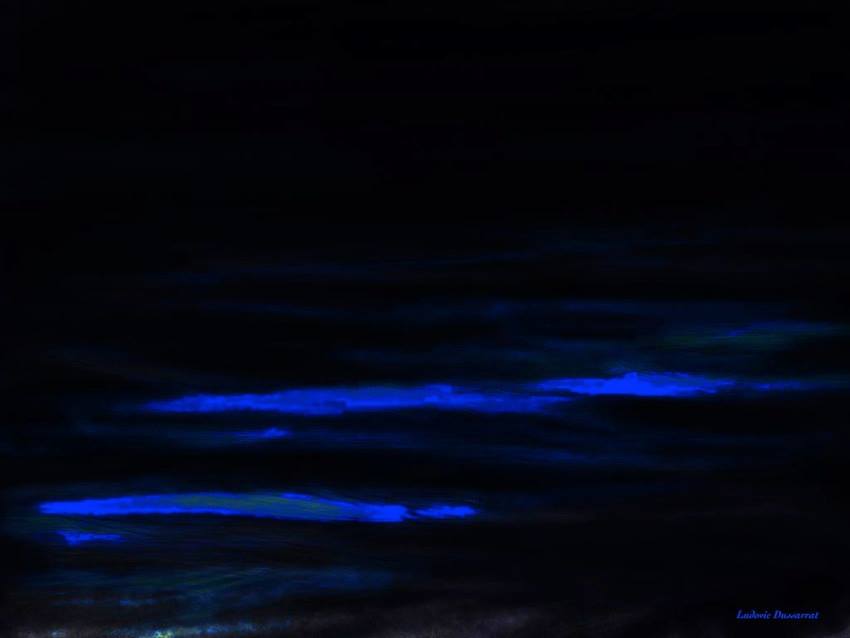 Bioluminescence. Peinture digitale, 22x30, 2014