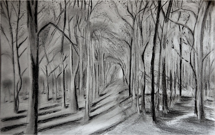 Une forêt. Crayon sur papier, 21x30, 2012. (Source: David Hockney)