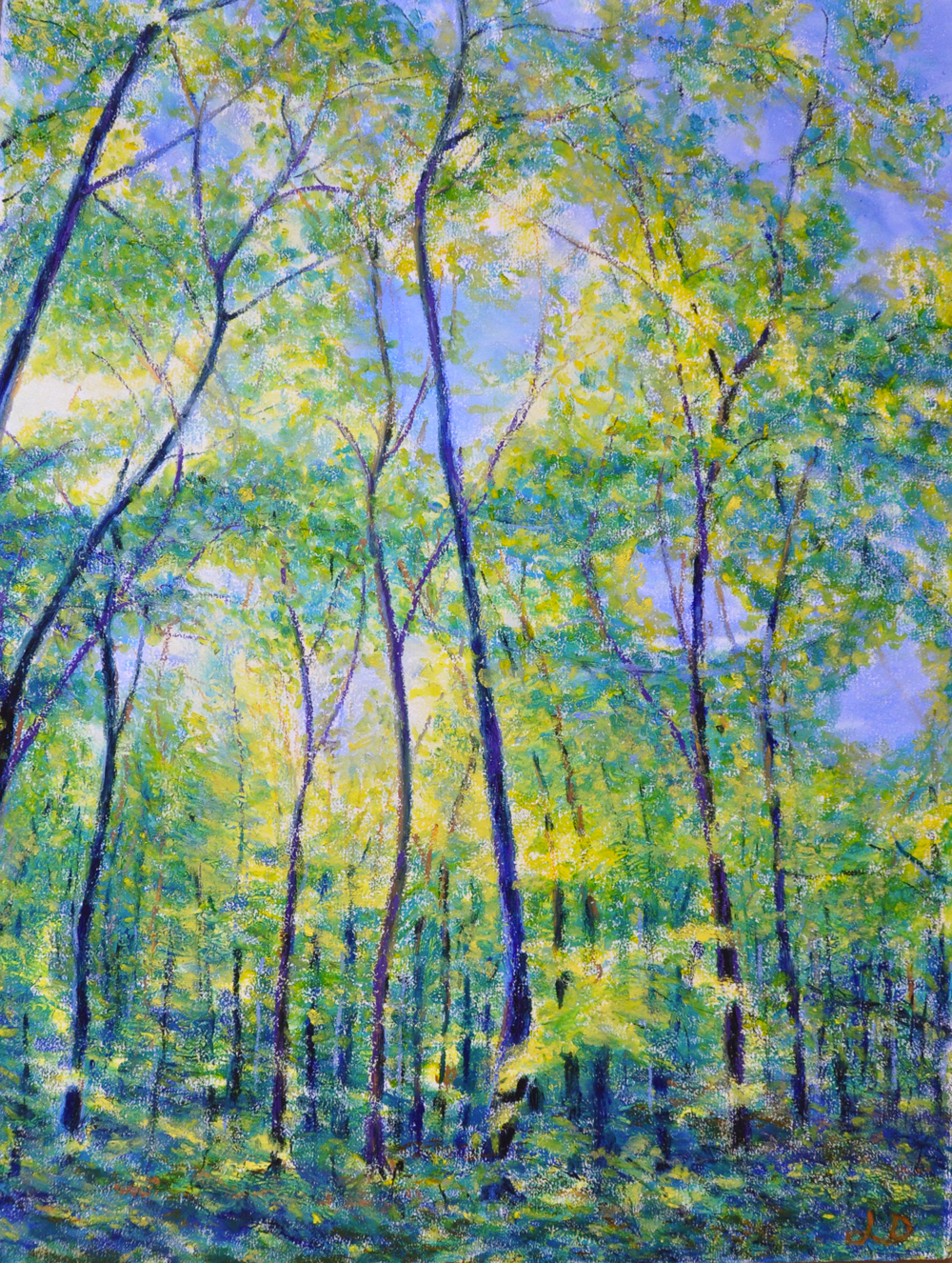 Forêt, 8, le bois du Sépey. Pastel à l'huile sur papier, 75x60, 2016
