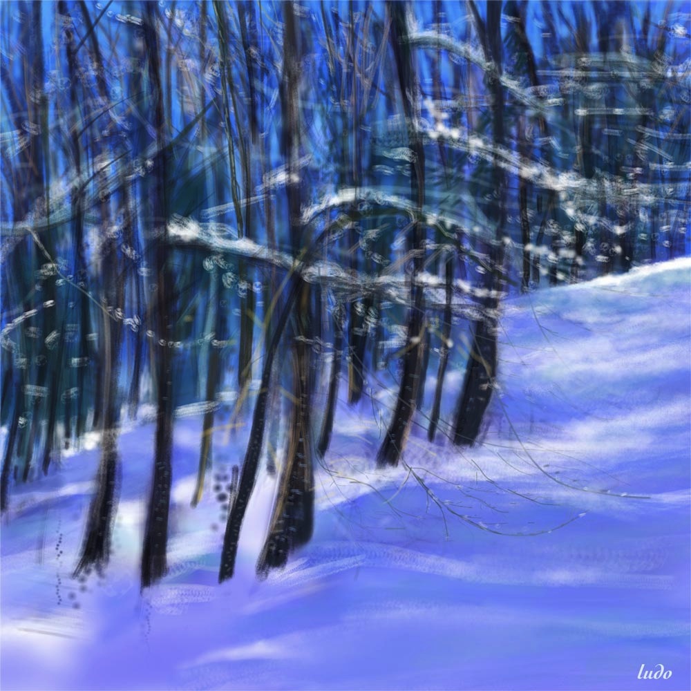 Barèges, forêt de l'Ayré. Peinture digitale, 72x72, 2015