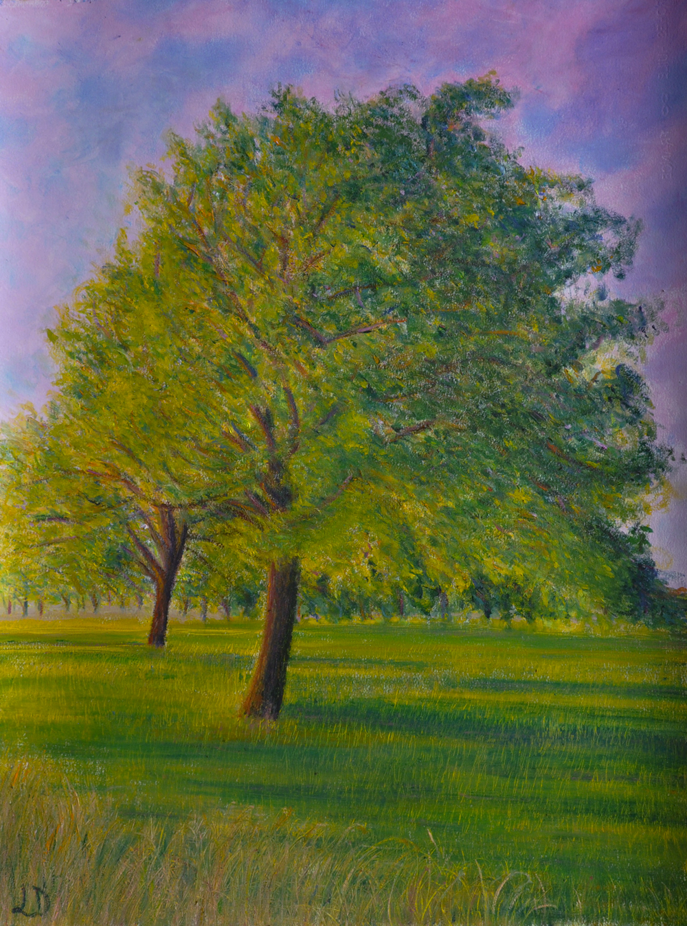 Walnut trees no. 8, Penthalaz. Oil on paper, 75x60, 2017