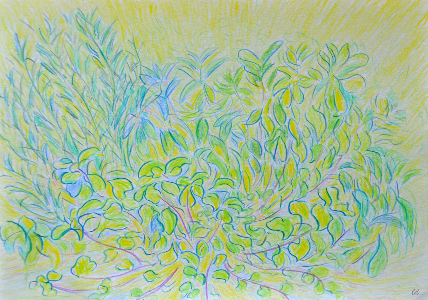 La jardinière. Crayon de couleur sur papier, 21x29, 2021