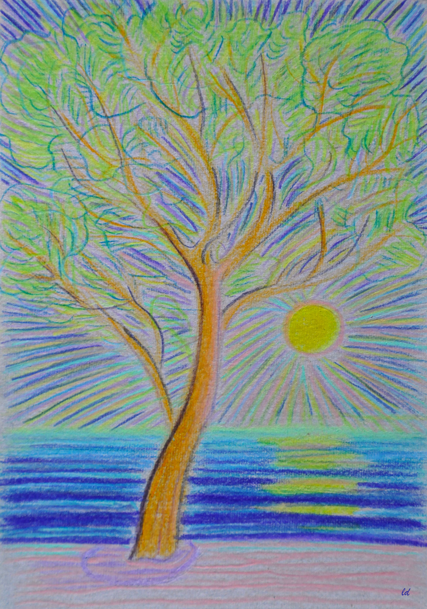Cala Gonone 14, il pino sulla spiaggia. Crayon de couleur sur carton, 21x15. 2021