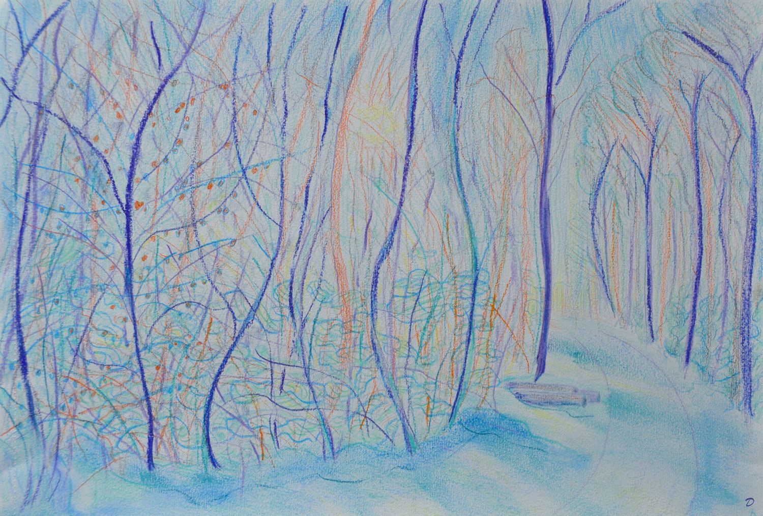 Le bois du Sépey, 4. Crayon de couleur et pastel sur papier. 30x42, 2022