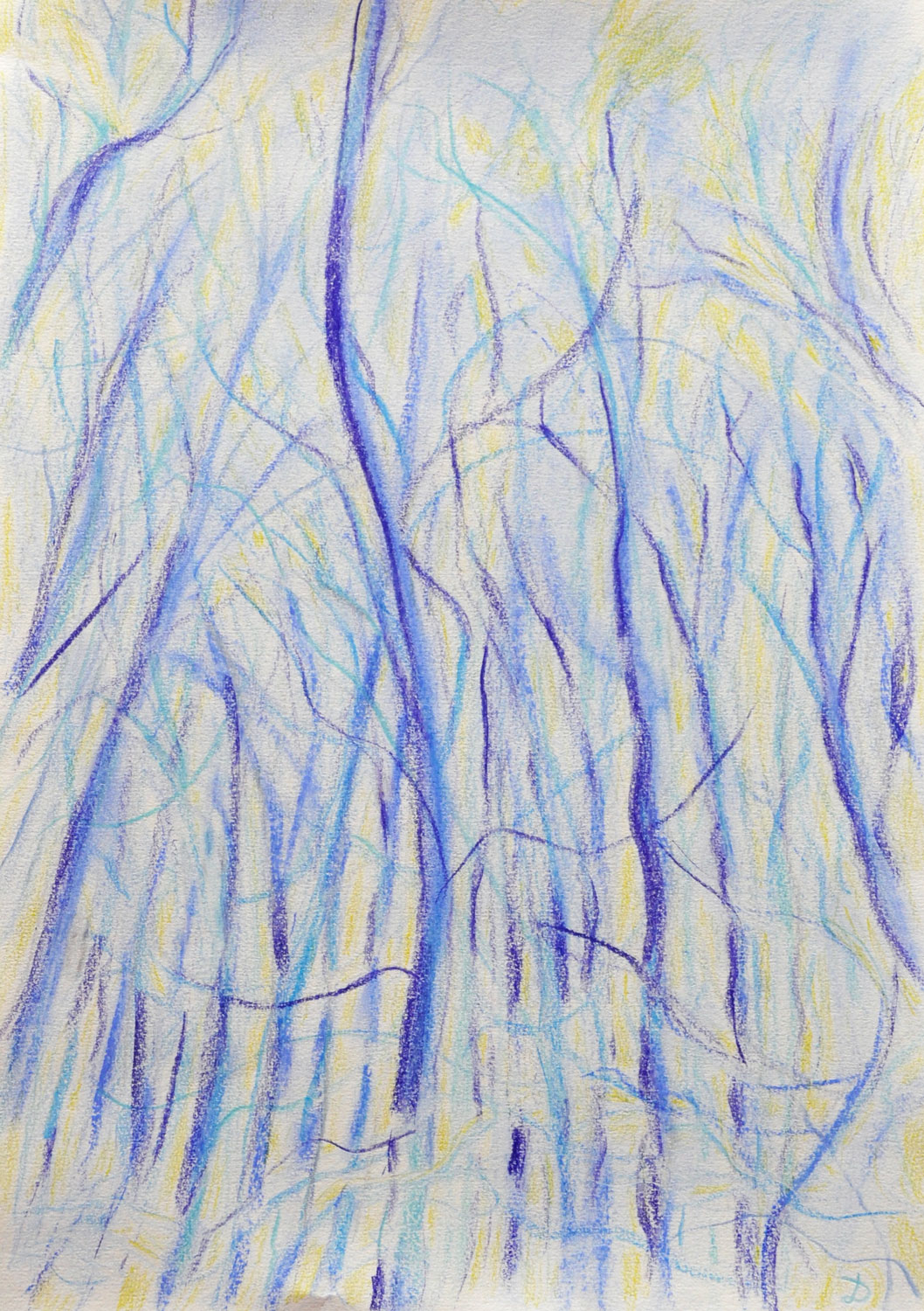 Le bois du Sépey, 8. Crayon de couleur et pastel sur papier. 42x30, 2022