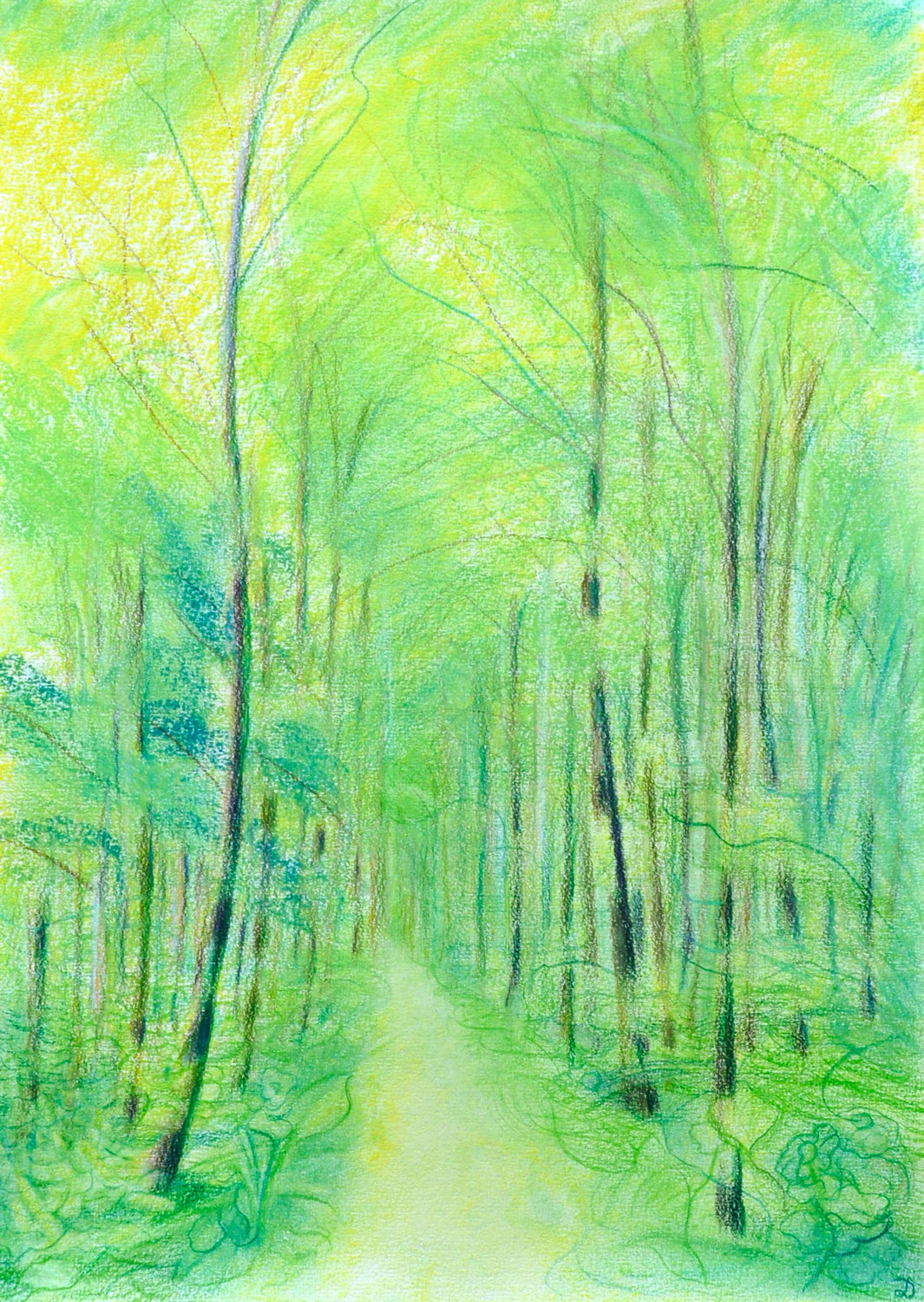 Le bois du Sépey, 10. Crayon de couleur et pastel sur papier. 42x30, 2022
