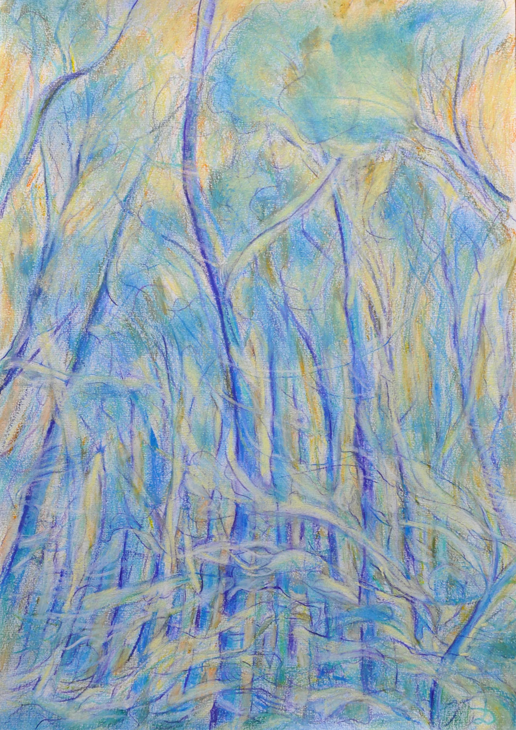 Le bois du Sépey, 9. Crayon de couleur et pastel sur papier. 30x42, 2022