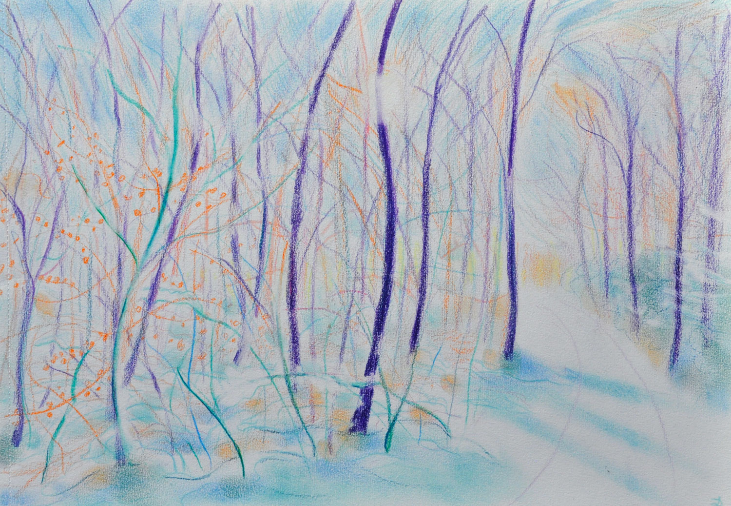 Le bois du Sépey, 8. Crayon de couleur et pastel sur papier. 30x42, 2022