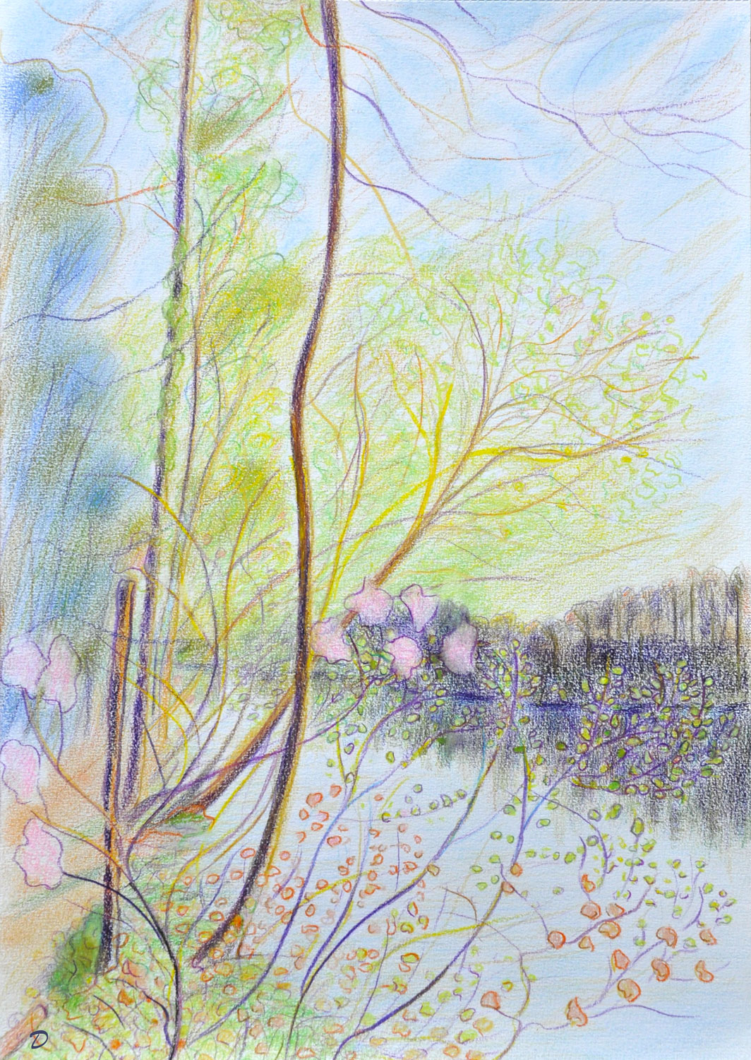 Le bois du Sépey 12, l'étang. Crayon de couleur et pastel sur papier. 30x42, 2022