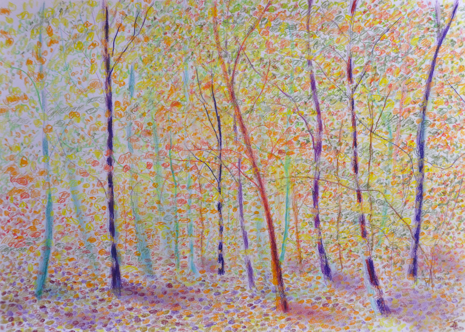 Le bois du Sépey, 23. Crayon de couleur et pastel tendre sur papier. 42x30, 2022