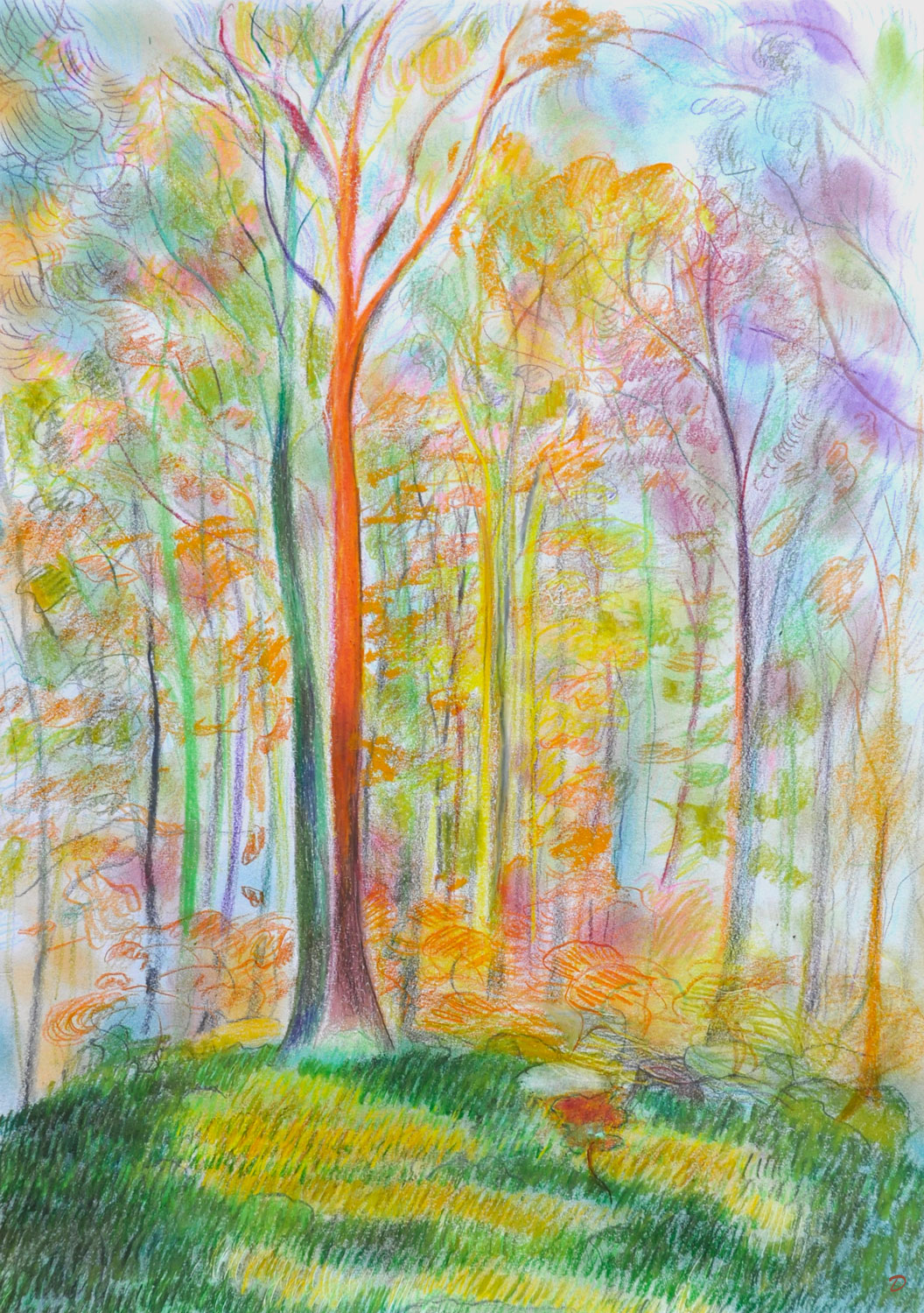 Forêt, 20. Crayon de couleur et pastel tendre sur papier. 42x30, 2022