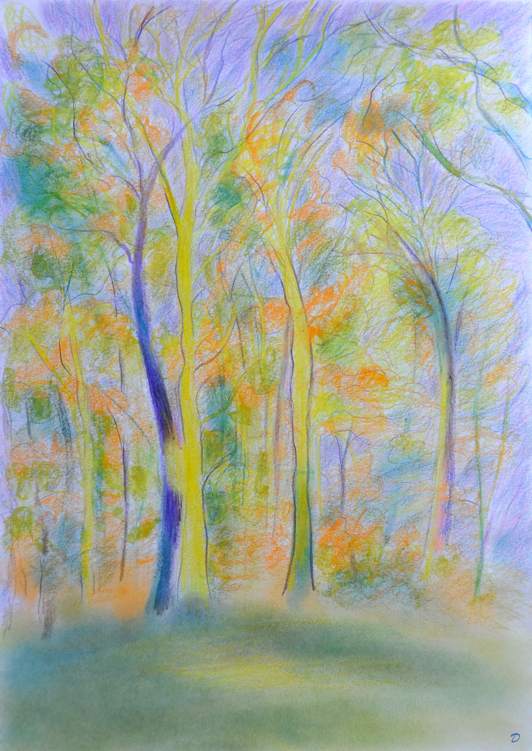Forêt, 21. Crayon de couleur et pastel tendre sur papier. 42x30, 2022