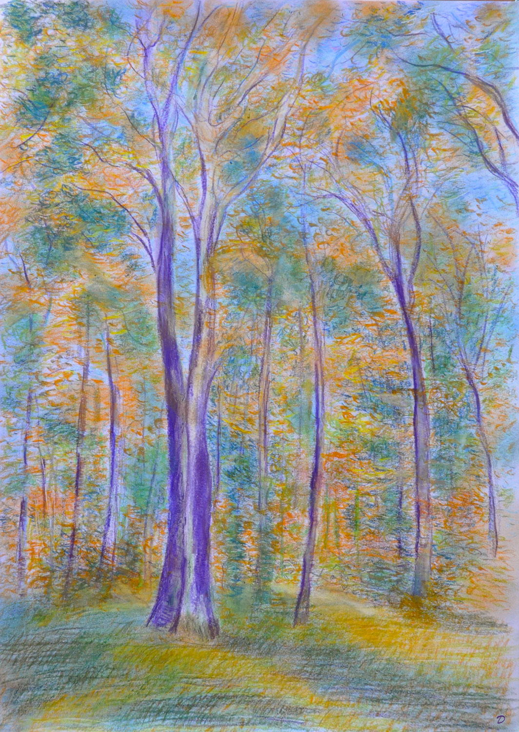 Forêt, 22. Crayon de couleur et pastel tendre sur papier. 42x30, 2022