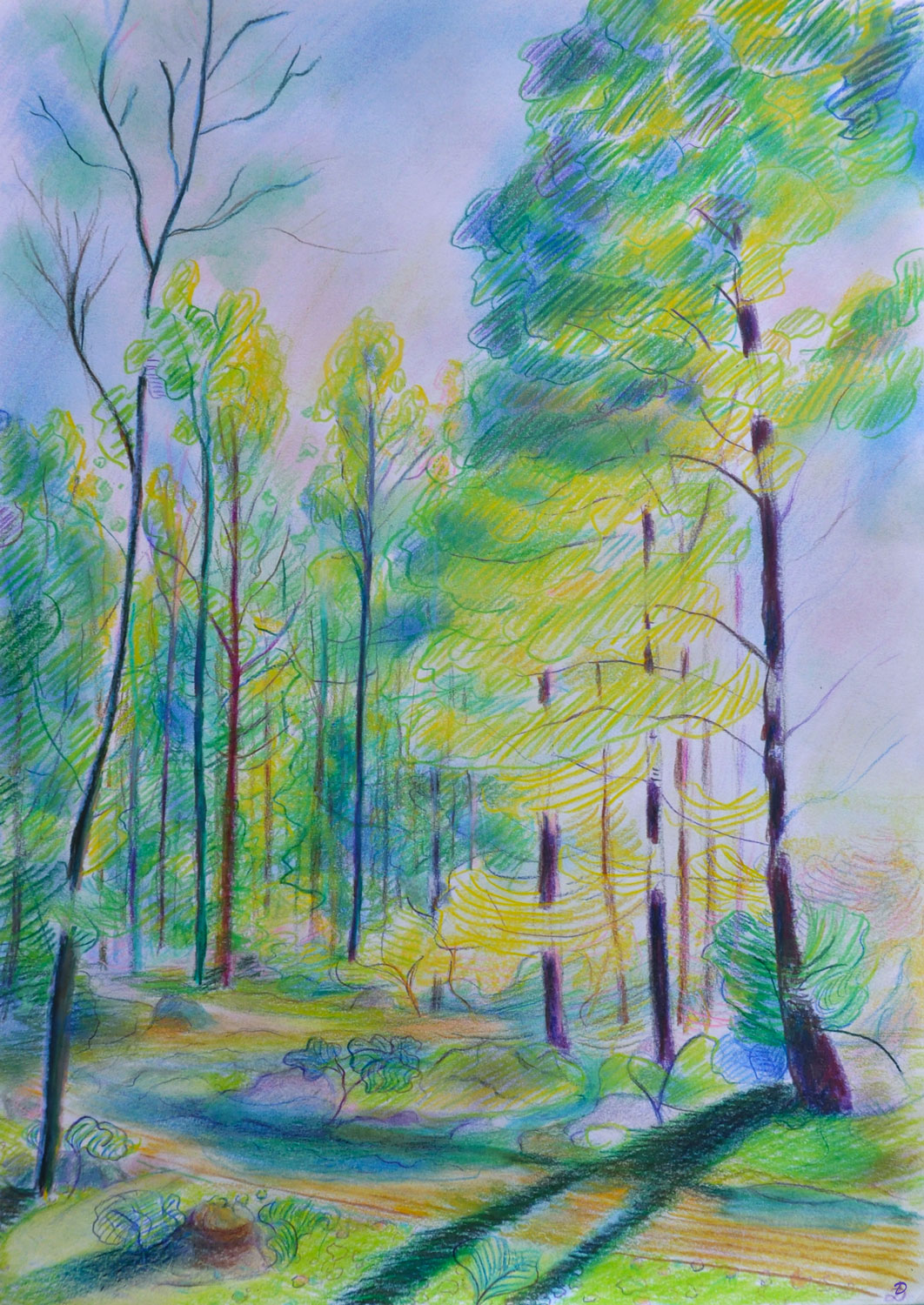 Le bois du Sépey, 29. Crayon de couleur et pastel tendre sur papier. 42x30, 2022