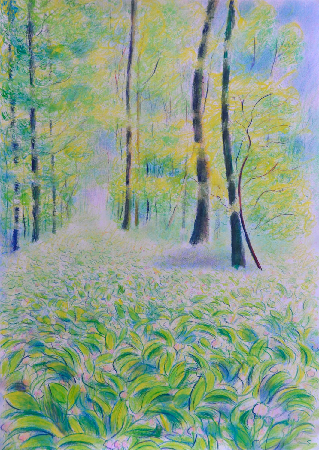 Le bois du Sépey, 28. Crayon de couleur et pastel tendre sur papier. 42x30, 2022