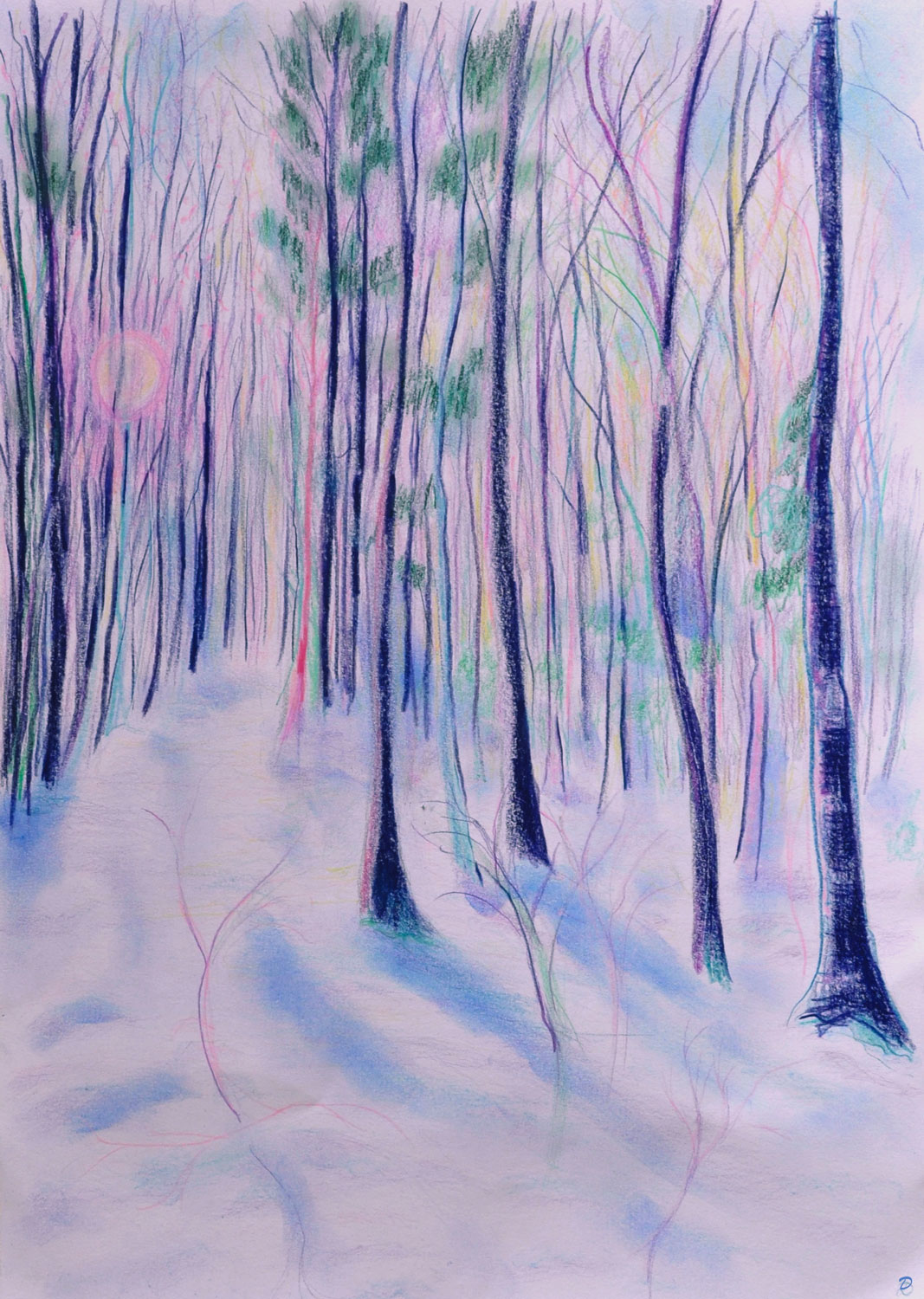 Forêt, 25. Crayon de couleur et pastel tendre sur papier. 42x30, 2022