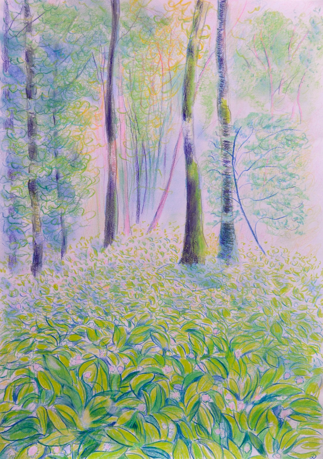 Le bois du Sépey, 27. Crayon de couleur et pastel tendre sur papier. 42x30, 2022