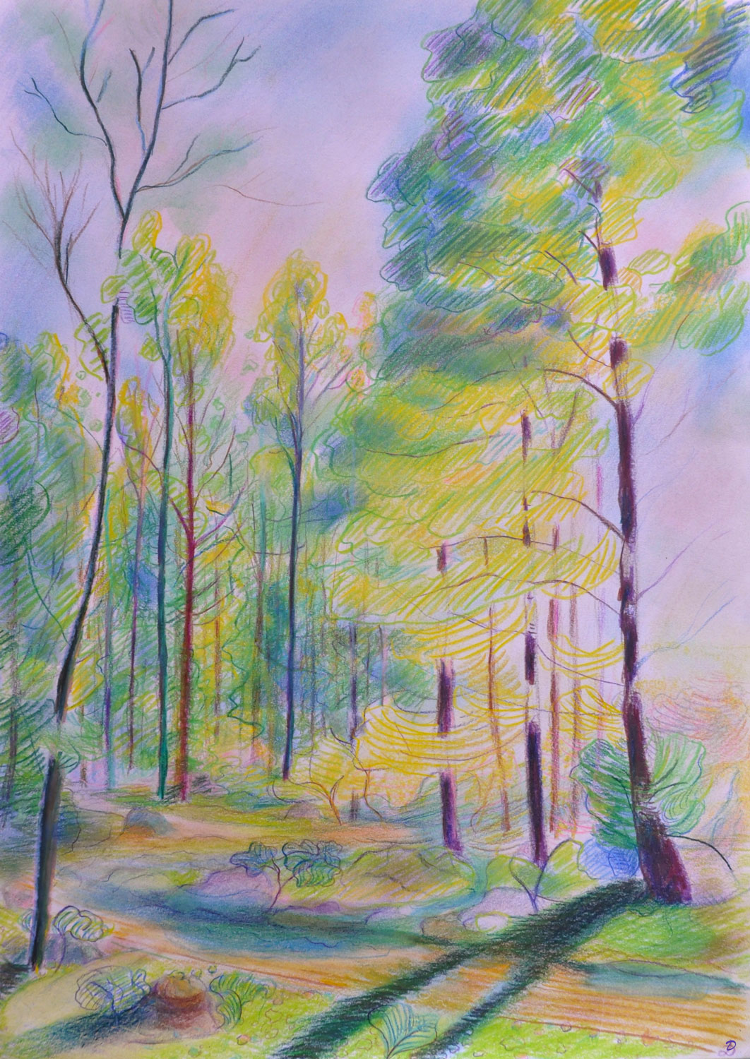Le bois du Sépey, 29. Crayon de couleur et pastel tendre sur papier. 42x30, 2022