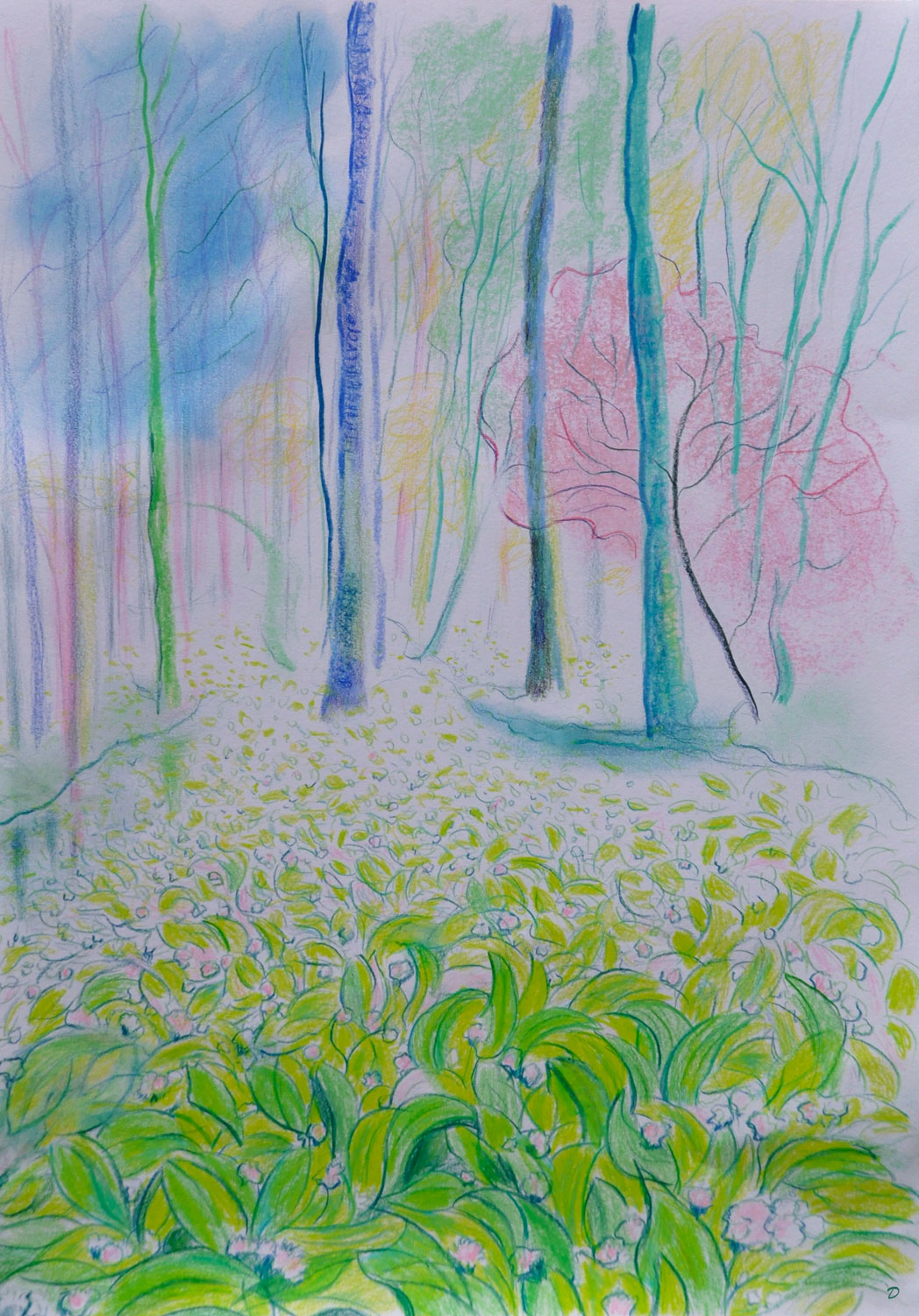 Forêt, 26. Crayon de couleur et pastel tendre sur papier. 42x30, 2022