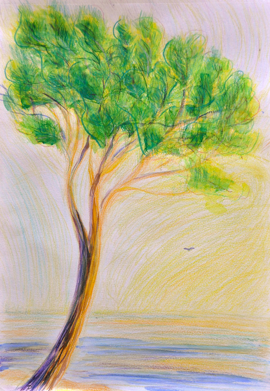 Le pin, Argelès-sur-mer. Crayon de couleur et aquarelle sur papier, 42x30, 2022