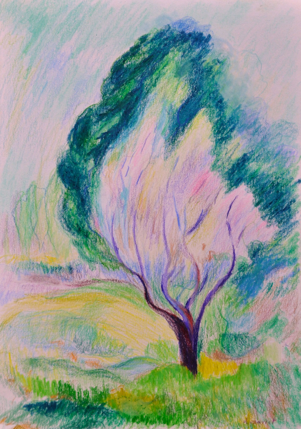 arbre en fleurs. Crayon de couleur sur papier, 29x21, 2023. D'après Henri Manguin, Saint-Tropez, un arbre en fleurs, 1905. 