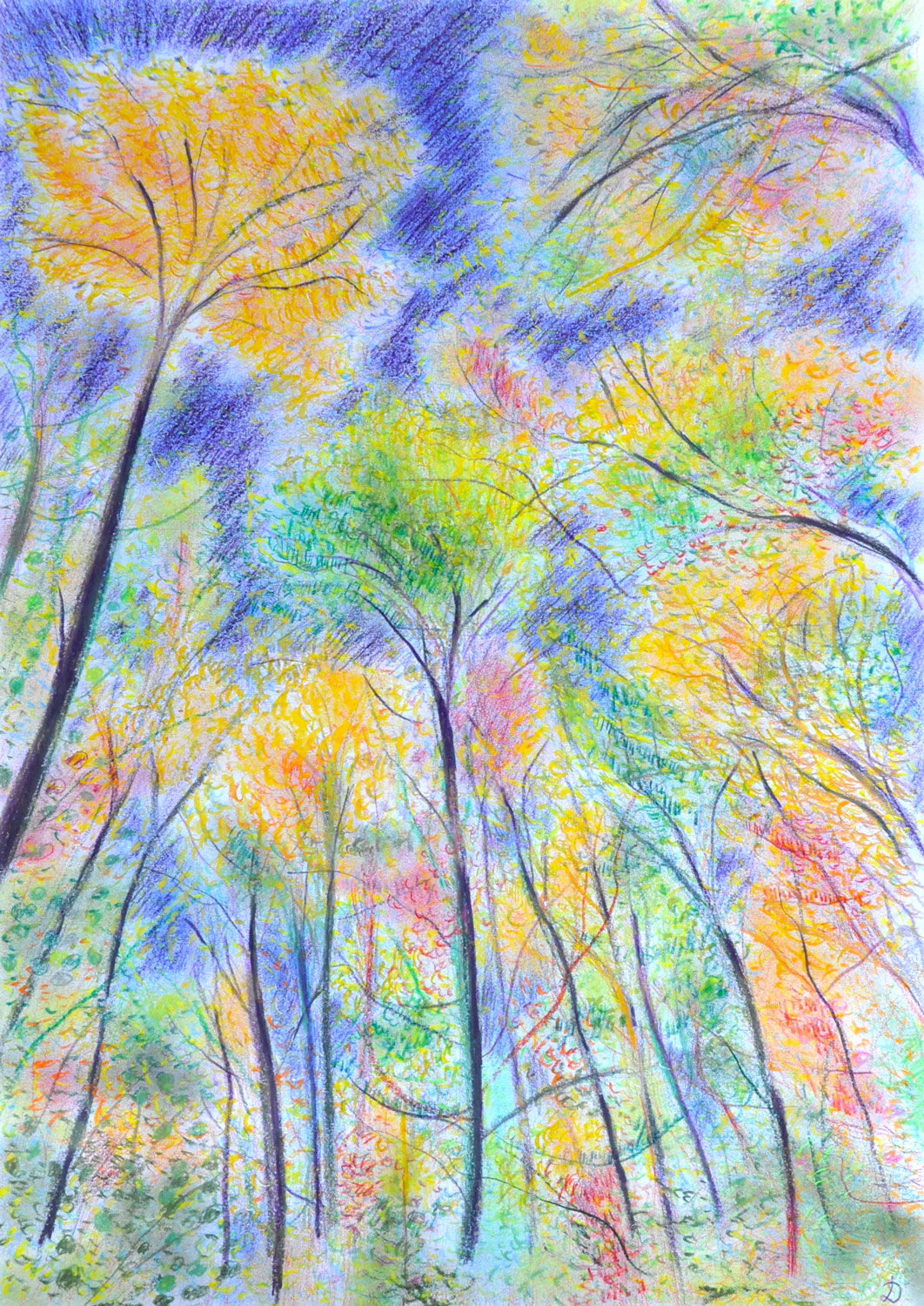 Forêt, 42. Crayon de couleur et pastel tendre sur papier. 42x30, 2023