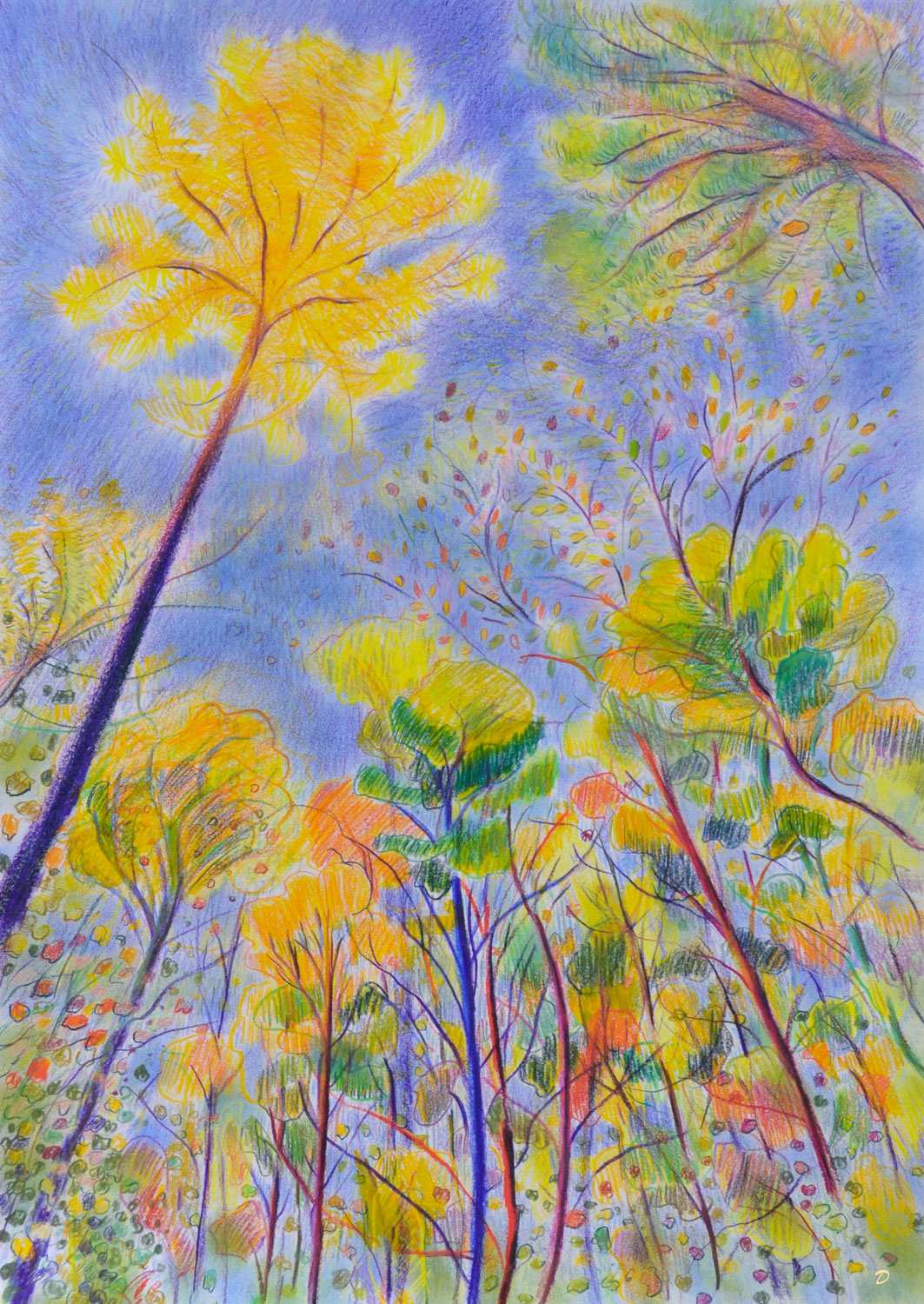 Forêt, 41. Crayon de couleur et pastel tendre sur papier. 42x30, 2023