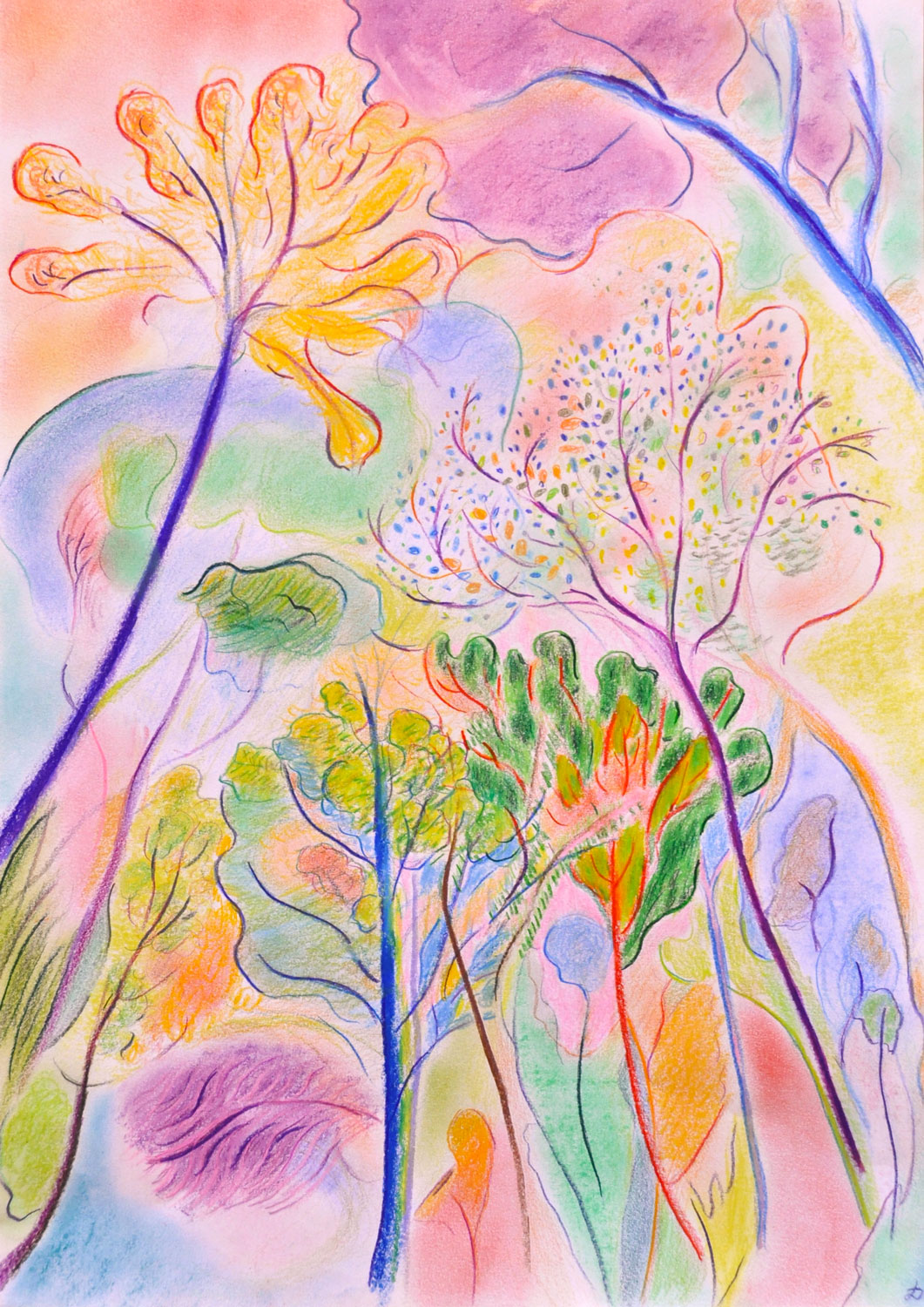 Forêt, 47. Crayon de couleur et pastel tendre sur papier. 42x30, 2024