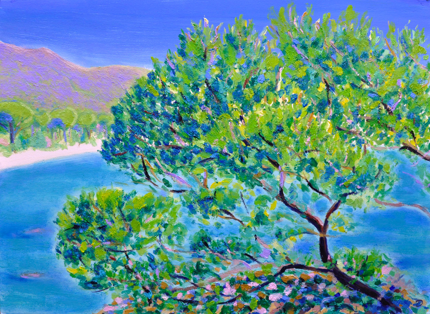 Les pins, Pramousquier. Huile sur papier, 56x76, 2025